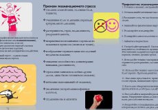 Спокойный путь к экзаменам: как выстроить систему подготовки и сохранить психологическое равновесие